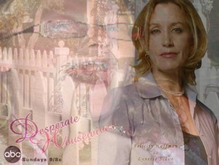 lynette scavo 